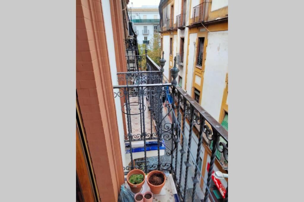 Appartement Santa Cruz Sevilla